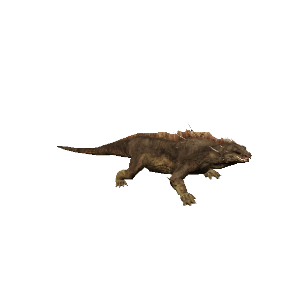 aged kimogila