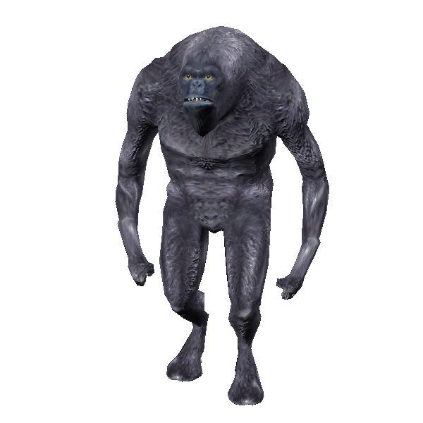 alpha veermok