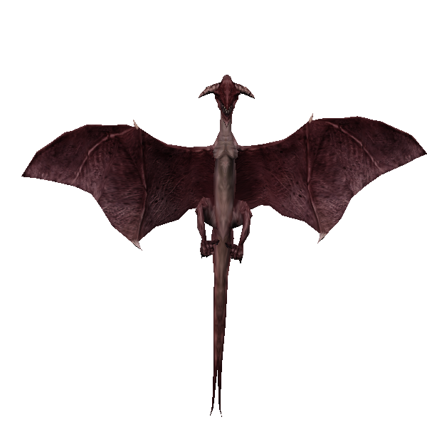 ancient reptilian flier