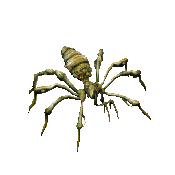 angler hatchling