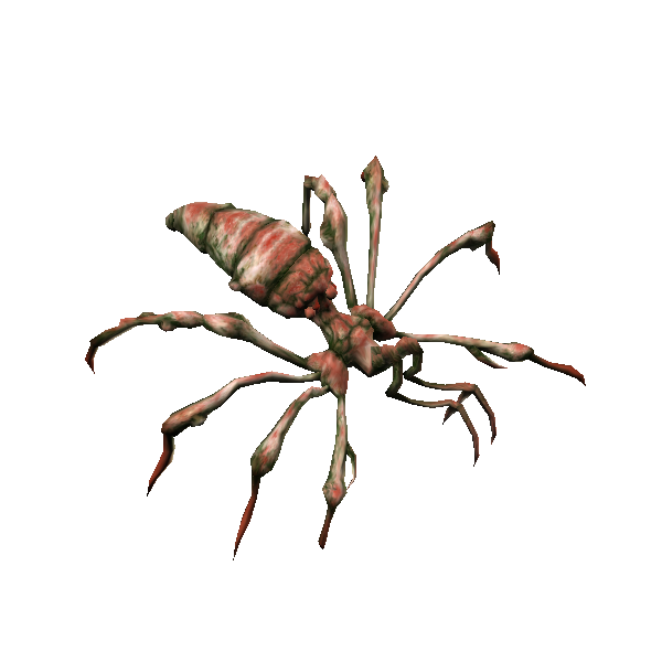 angler recluse