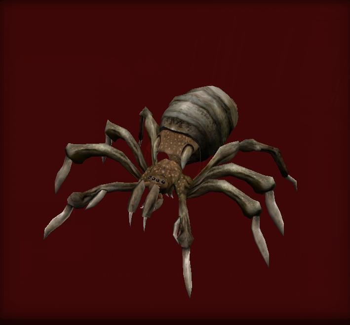 arachne brood queen