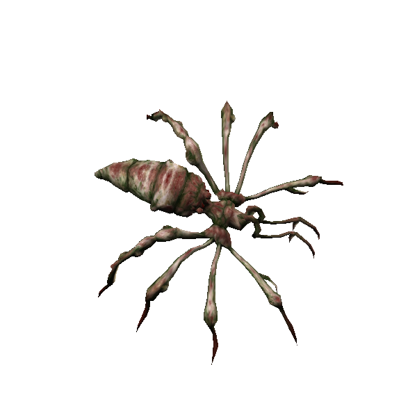 arachne drone