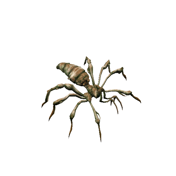arachne queen