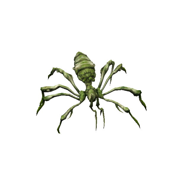 arachne warrior