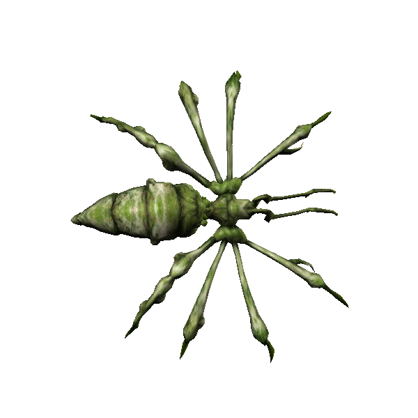 arachne webmaster