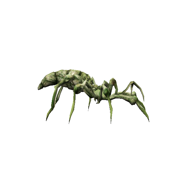arachne widow