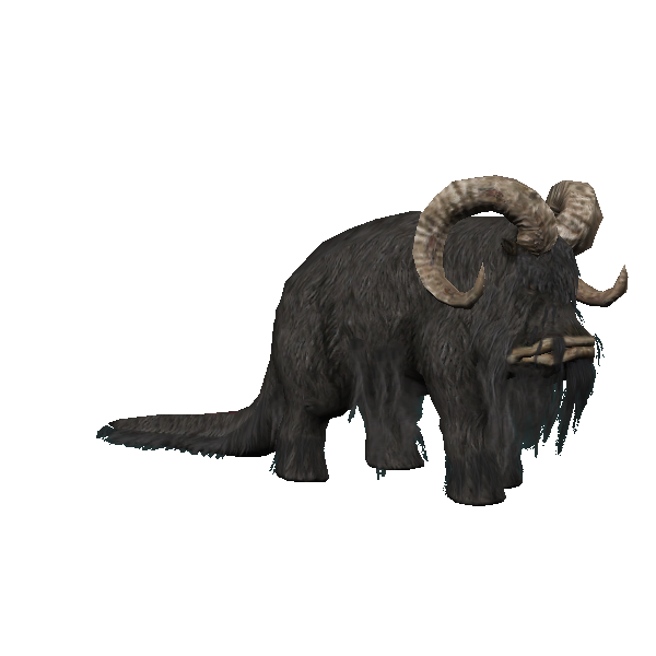 bantha matriarch