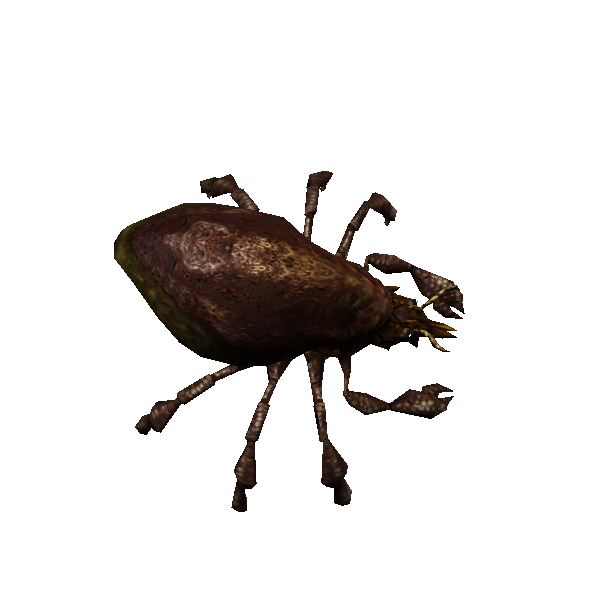 bark mite burrower drone