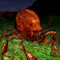 bark mite burrower queen