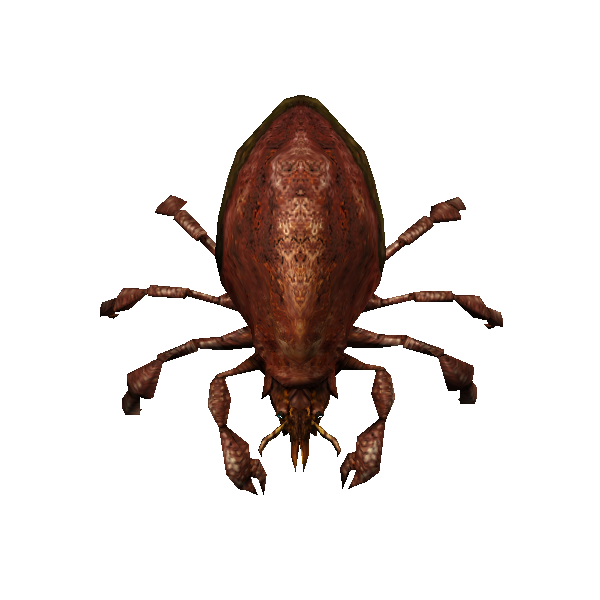 bark mite burrower swarmling