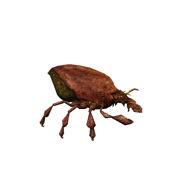 bark mite burrower worker