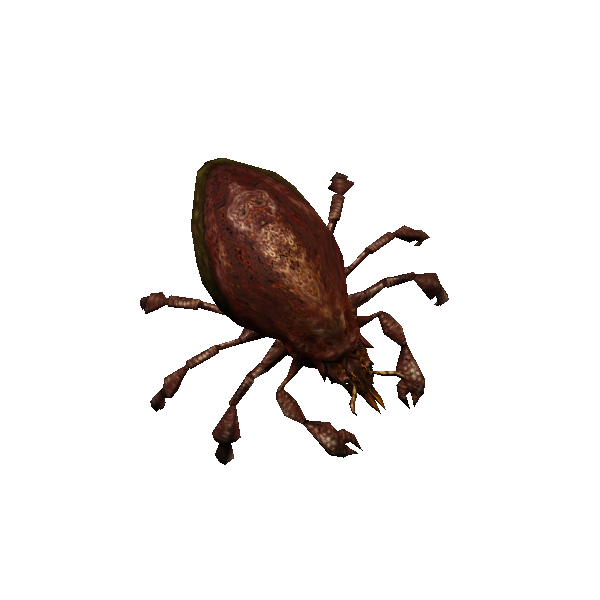 bark mite burrower