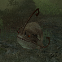 bloated gubbur