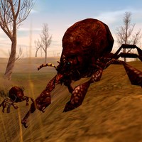 bloodseeker mite hunter
