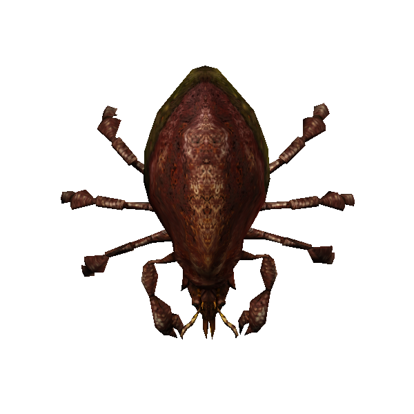 bloodseeker mite queen