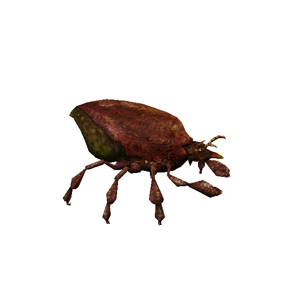 bloodseeker mite