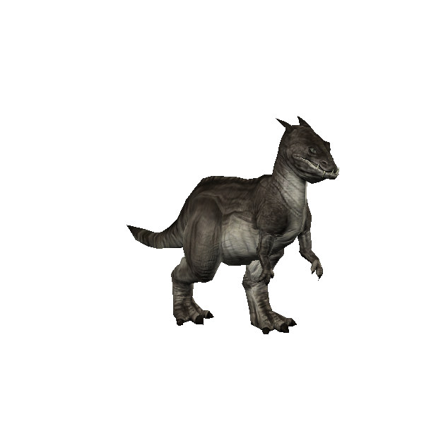 blurrg raptor