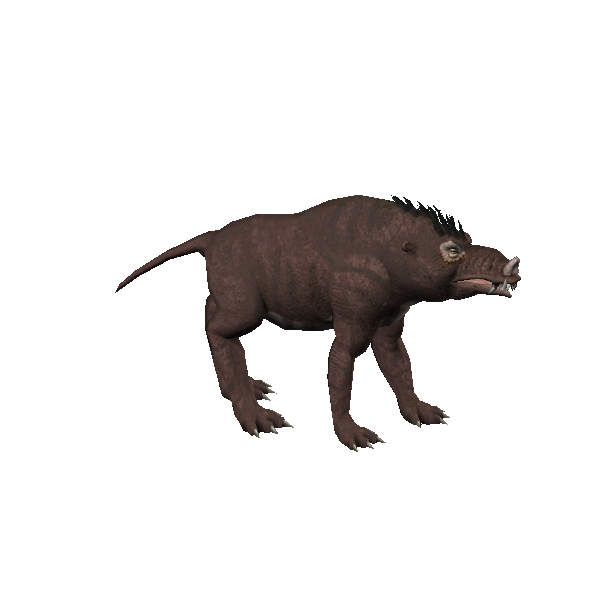 boar wolf ravager