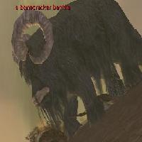 bonecracker bantha