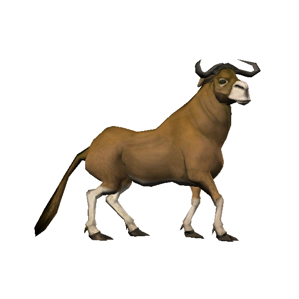 bordok ancient