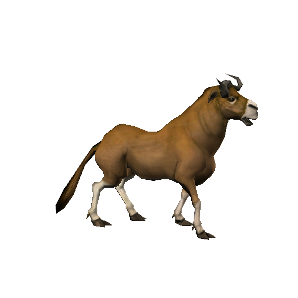 bordok mare