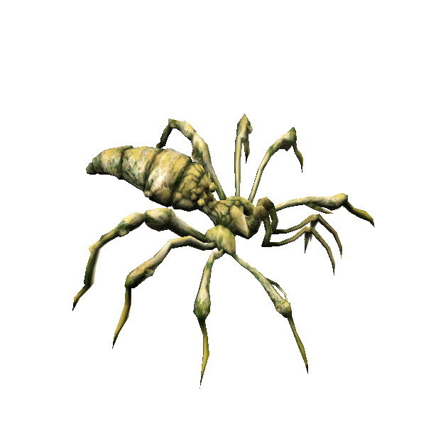 brood i arachne