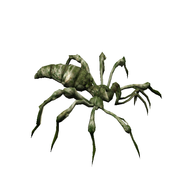 brood ii arachne