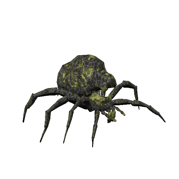 brood ii aurek arachne