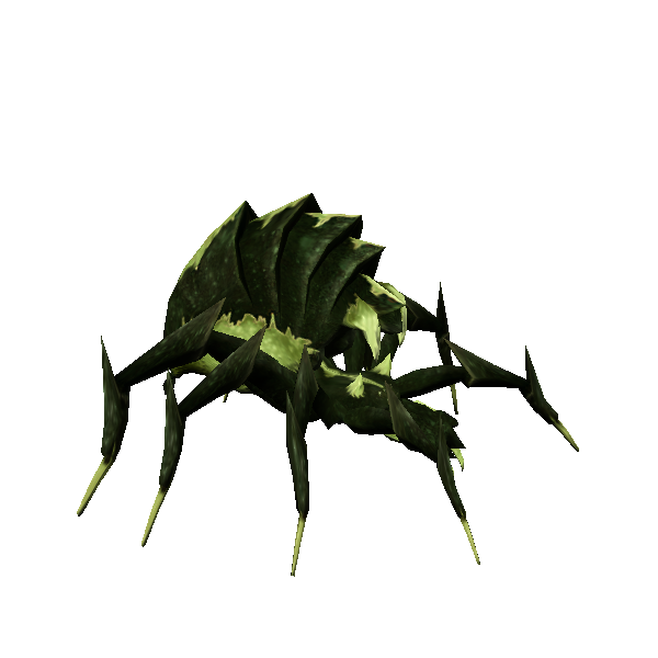 brood v aurek arachne