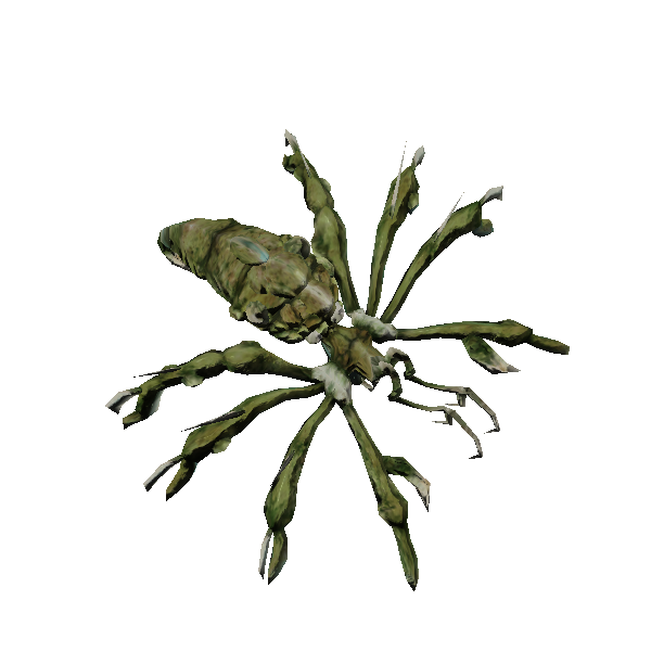 brood x arachne