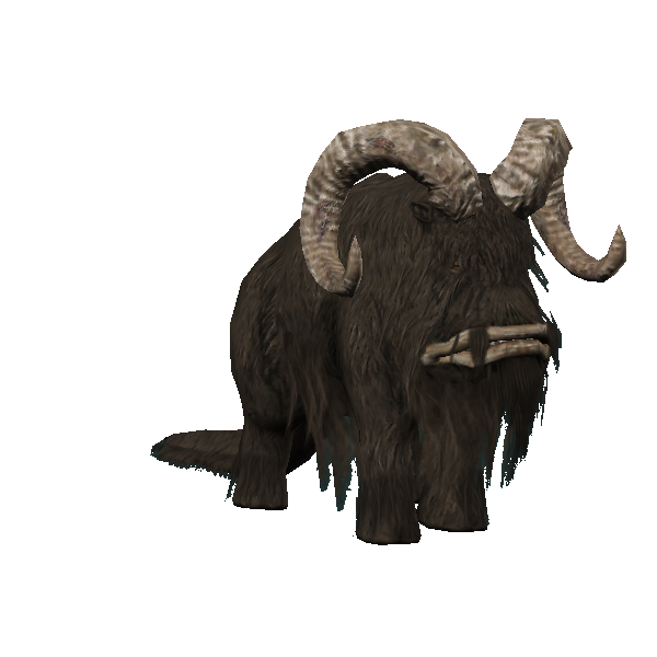 bull bantha