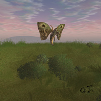 capper spineflap drone