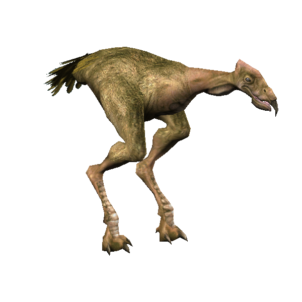 carrion spat