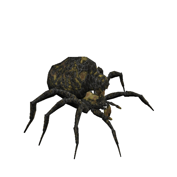 cavern spider broodling