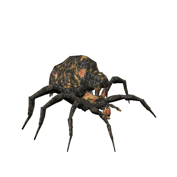 cavern spider hunter