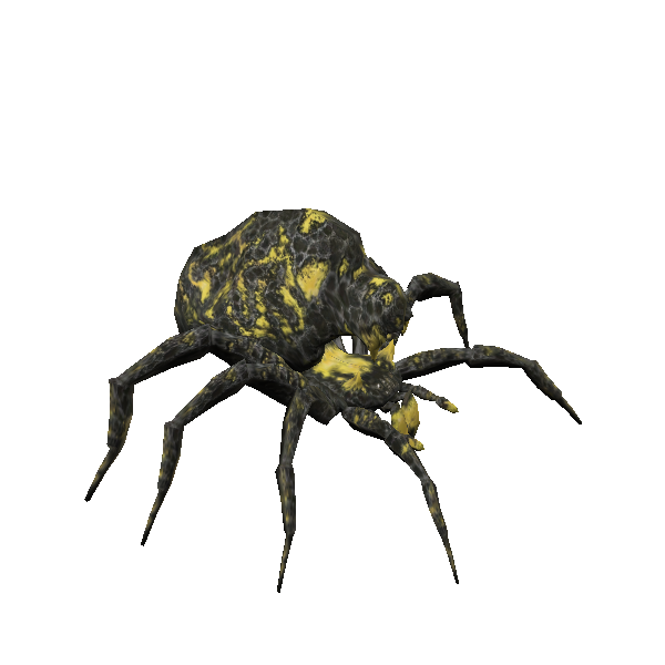 cavern spider
