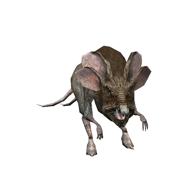 city sewer swamprat