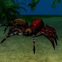 crazed webweaver