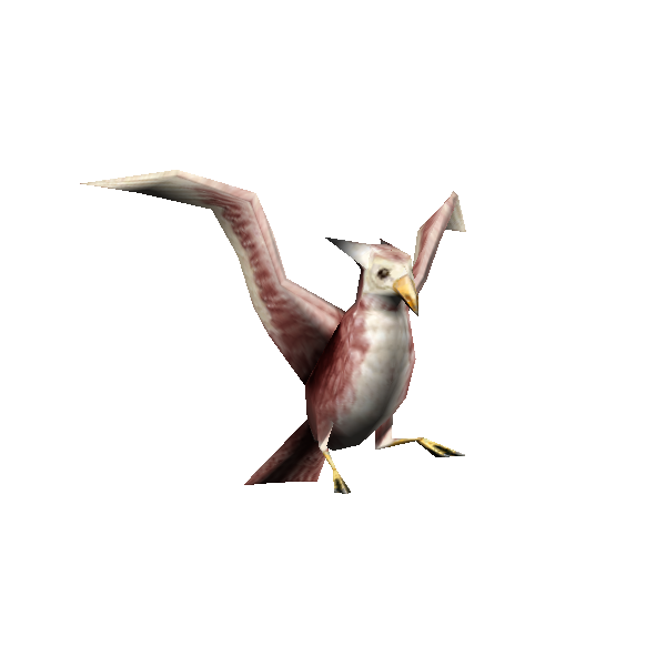 crescent rasp