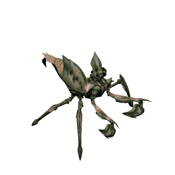 dalyrake matriarch