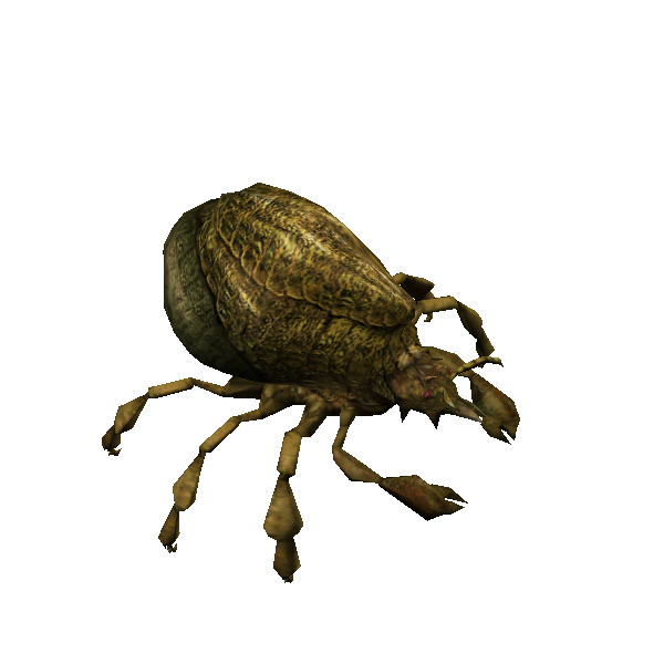 deadly tanc mite