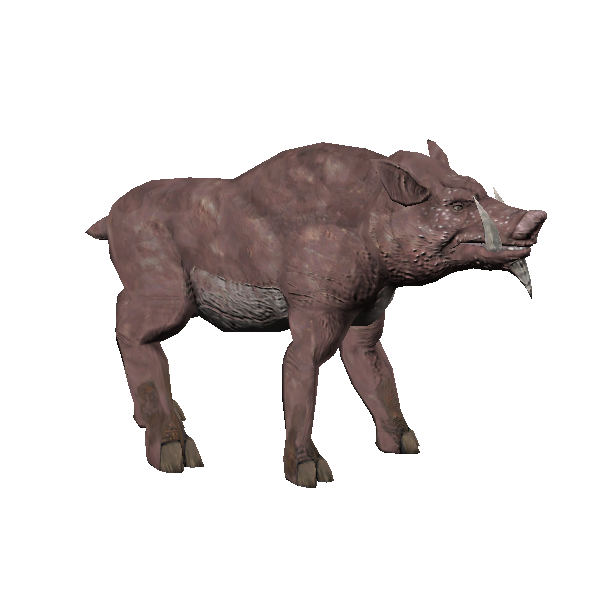 desert razorback