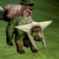 diseased uller