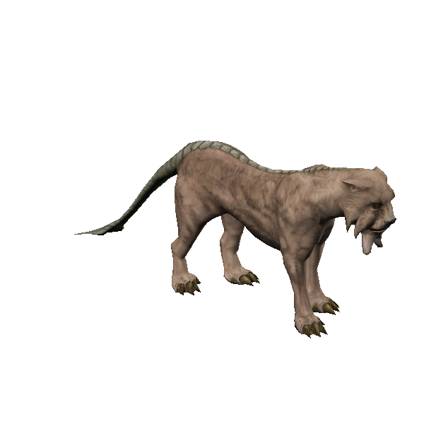 domestic tusk-cat