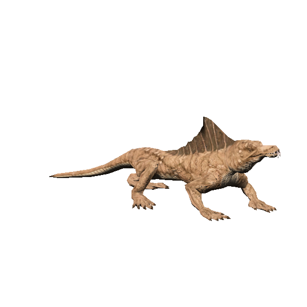 dragonet