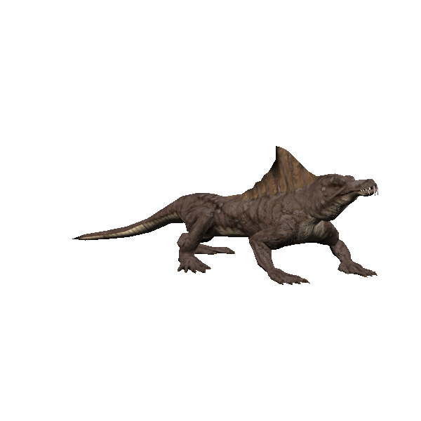 dune lizard