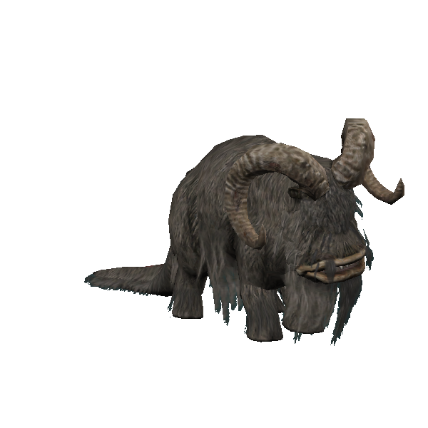 dwarf bantha