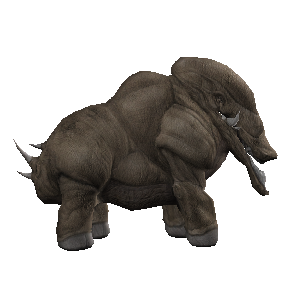 dwarf gronda
