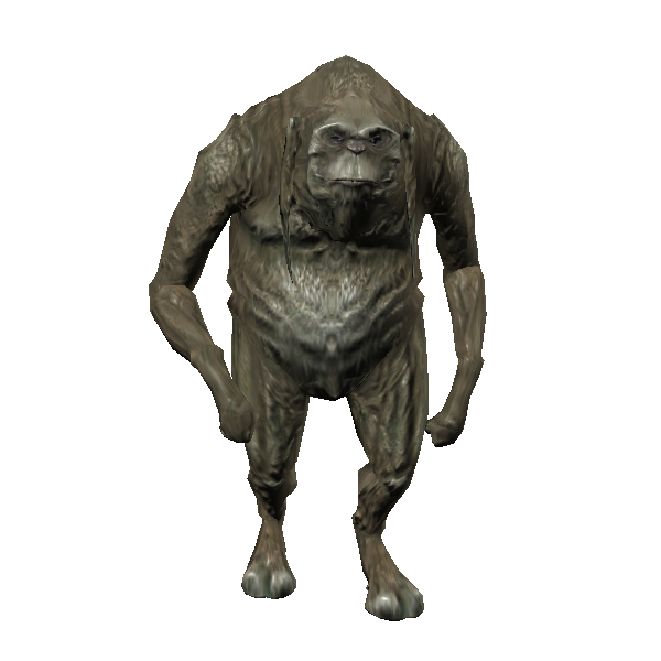 elder mamien